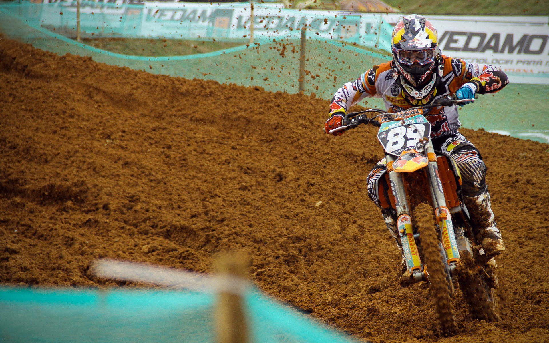 公牛铁血防守绞杀北京队，塔图姆末节封神定乾坤